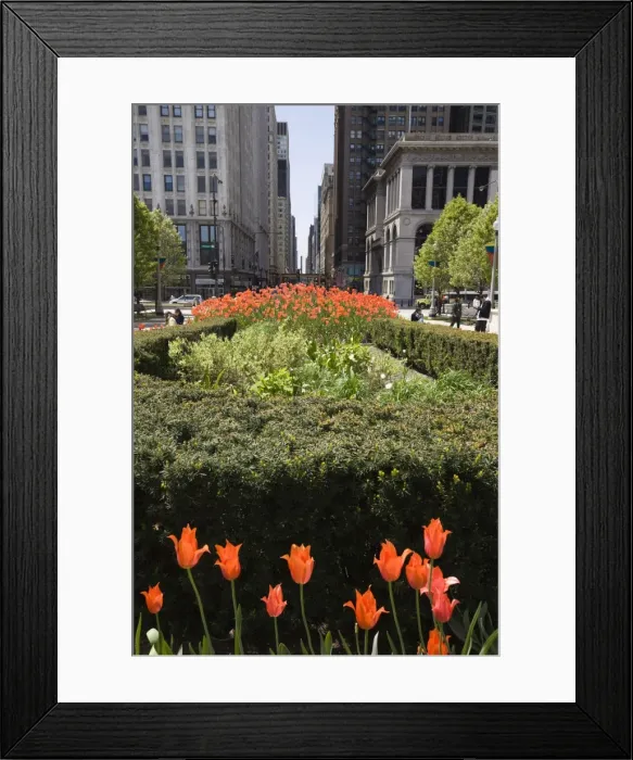Framed Print : Millennium Park, Chicago, Illinois, United States of America, North America Framed Print : Millennium Park, Chicago, Illinois, United States of America, North America