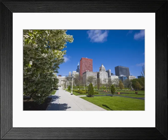 Framed Print : Spring blossom in Grant Park, Chicago, Illinois, United States of America, North America Framed Print : Spring blossom in Grant Park, Chicago, Illinois, United States of America, North America