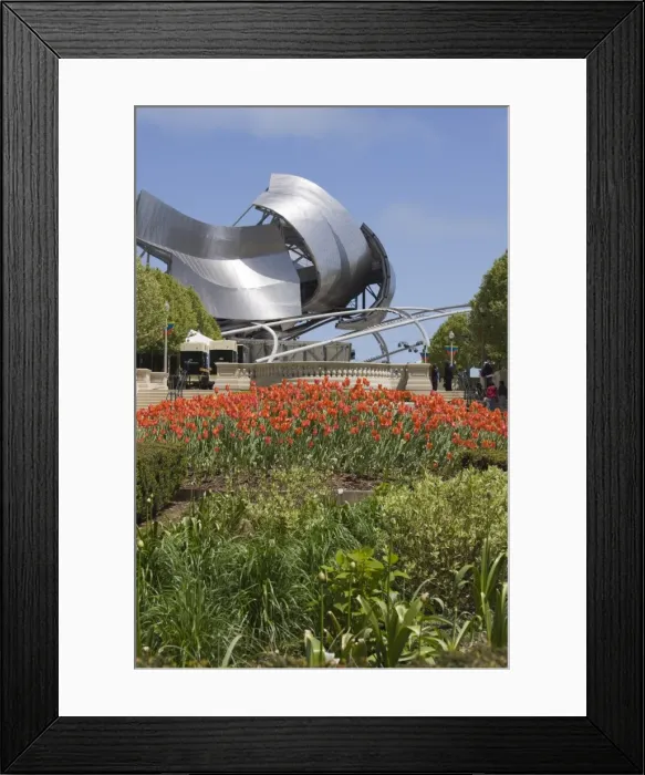 Framed Print : Jay Pritzker Pavillion designed by Frank Gehry, Millennium Park, Chicago