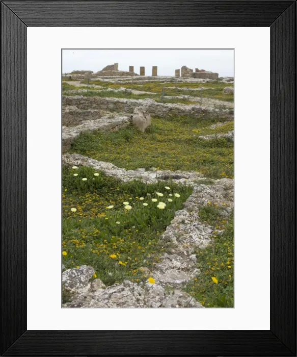Framed Print : Looking towards the peristyle house at Kerkouane, the only pure Punic site ever found Framed Print : Looking towards the peristyle house at Kerkouane, the only pure Punic site ever found