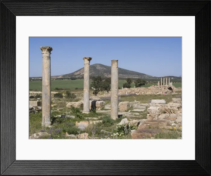 Framed Print : Unidentified temple, Roman ruin of Thuburbo Majus, Tunisia, North Africa, Africa Framed Print : Unidentified temple, Roman ruin of Thuburbo Majus, Tunisia, North Africa, Africa