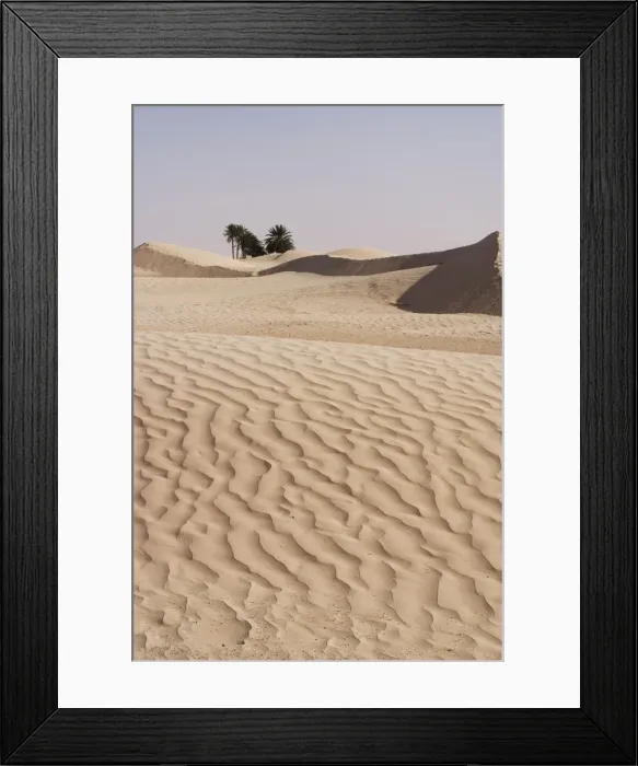 Framed Print : The beginning of the Sahara Desert, Douz, Tunisia, North Africa, Africa Framed Print : The beginning of the Sahara Desert, Douz, Tunisia, North Africa, Africa
