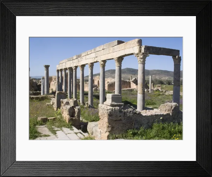 Framed Print : Palaestra, Greco-Roman gymnasium, Roman site of Thuburbo Majus, Tunisia Framed Print : Palaestra, Greco-Roman gymnasium, Roman site of Thuburbo Majus, Tunisia