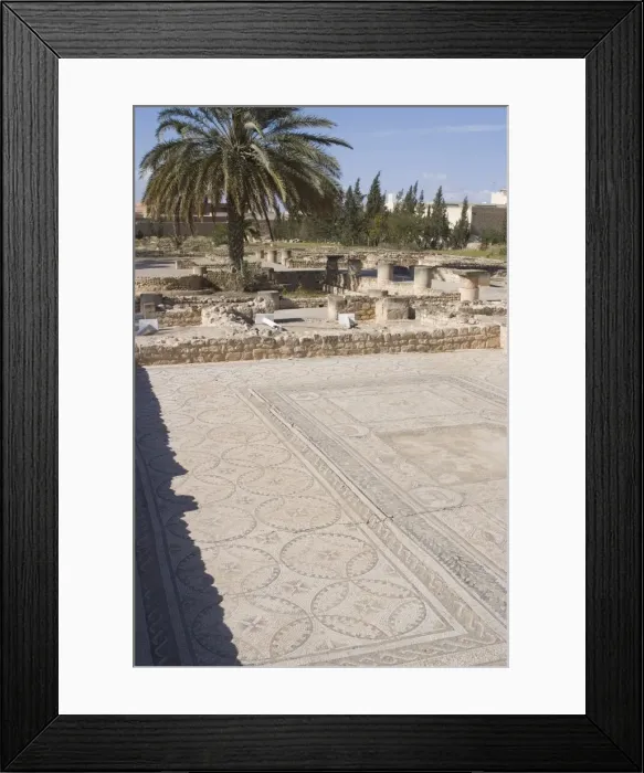 Framed Print : Remains of the House of Africa Roman villa, Museum, El Djem, Tunisia, North Africa Framed Print : Remains of the House of Africa Roman villa, Museum, El Djem, Tunisia, North Africa