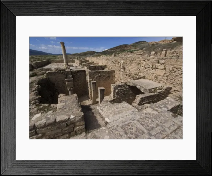Framed Print : House of the New Hunt, Roman ruins of Bulla Regia, Tunisia, North Africa, Africa Framed Print : House of the New Hunt, Roman ruins of Bulla Regia, Tunisia, North Africa, Africa