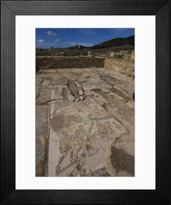 Framed Print : House of the New Hunt, Roman ruins of Bulla Regia, Tunisia, North Africa, Africa Framed Print : House of the New Hunt, Roman ruins of Bulla Regia, Tunisia, North Africa, Africa