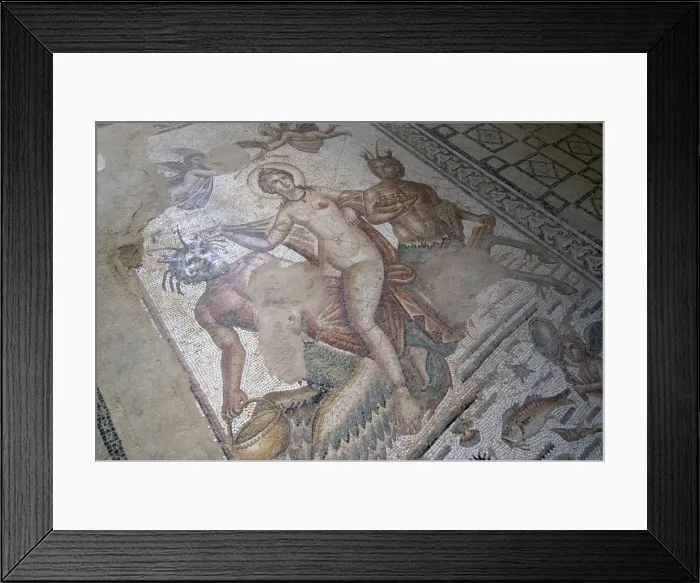 Framed Print : Part of Amphitrite mosaic, House of Amphitrite, Roman ruin of Bulla Regia Framed Print : Part of Amphitrite mosaic, House of Amphitrite, Roman ruin of Bulla Regia