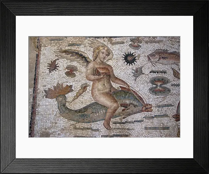 Framed Print : Part of Amphitrite mosaic, House of Amphitrite, Roman ruin of Bulla Regia