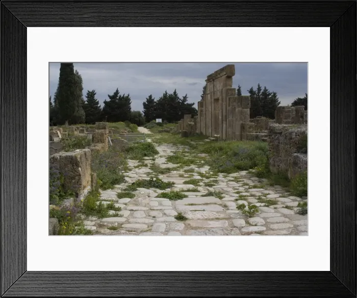 Framed Print : Decumanus (Main Street), Punic and Roman site of Utica, Tunisia, North Africa, Africa Framed Print : Decumanus (Main Street), Punic and Roman site of Utica, Tunisia, North Africa, Africa