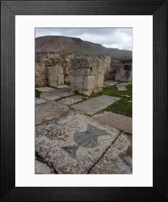 Framed Print : Christian basilica, Roman ruin of Bulla Regia, Tunisia, North Africa, Africa Framed Print : Christian basilica, Roman ruin of Bulla Regia, Tunisia, North Africa, Africa