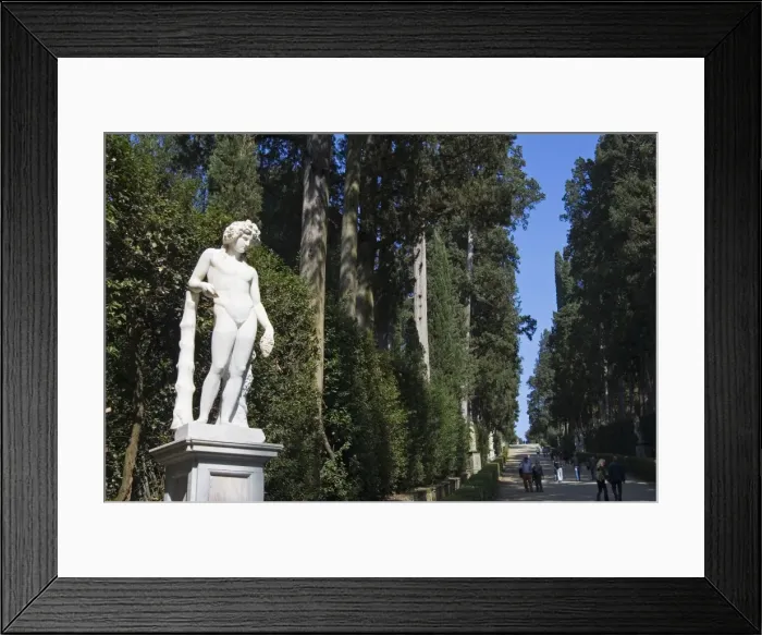 Framed Print : Viottolone, Viottolone Avenue, Boboli Gardens, Florence, Tuscany, Italy, Europe Framed Print : Viottolone, Viottolone Avenue, Boboli Gardens, Florence, Tuscany, Italy, Europe