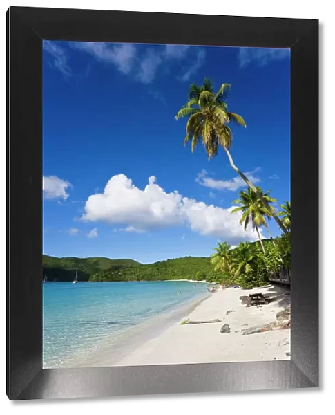 Cinnamon Bay beach and palms, St. John, U. S. Virgin Islands, West Indies