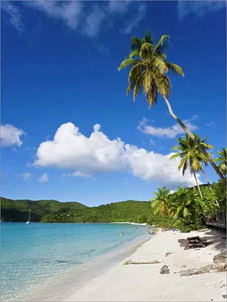 Cinnamon Bay beach and palms, St. John, U. S. Virgin Islands, West Indies