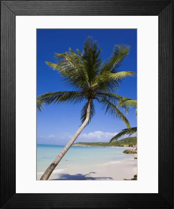 Framed Print : Dickenson Bay Beach, the largest and most famous beach on the island, Antigua Framed Print : Dickenson Bay Beach, the largest and most famous beach on the island, Antigua