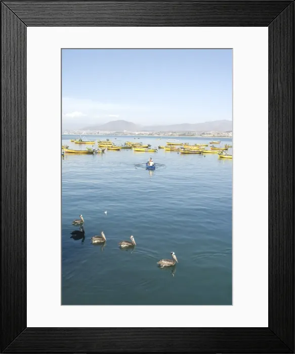 Framed Print : Two men bring in harvest of the sea, Chimbote, Chile, South America Framed Print : Two men bring in harvest of the sea, Chimbote, Chile, South America