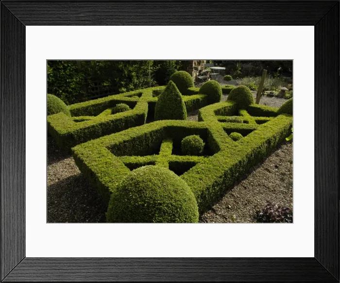 Framed Print : A home-made knot garden, England, United Kingdom, Europe Framed Print : A home-made knot garden, England, United Kingdom, Europe