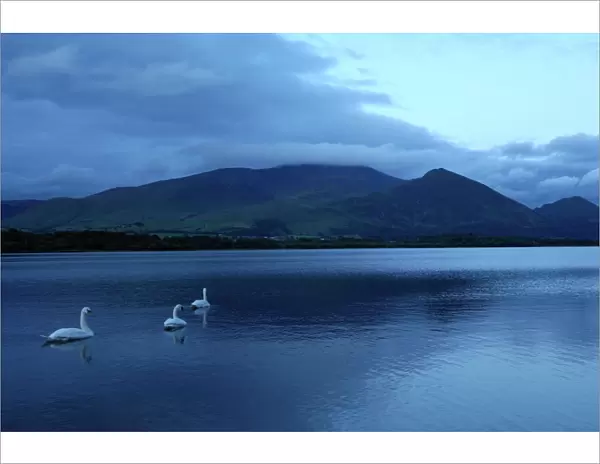 Twilight at Bassenthwaite Lake, Lake District National Park, Cumbria, England