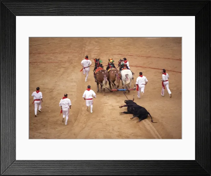 Framed Print : End of the bullfight, Plaza de Toros, San Fermin festival, Pamplona, Navarra Framed Print : End of the bullfight, Plaza de Toros, San Fermin festival, Pamplona, Navarra