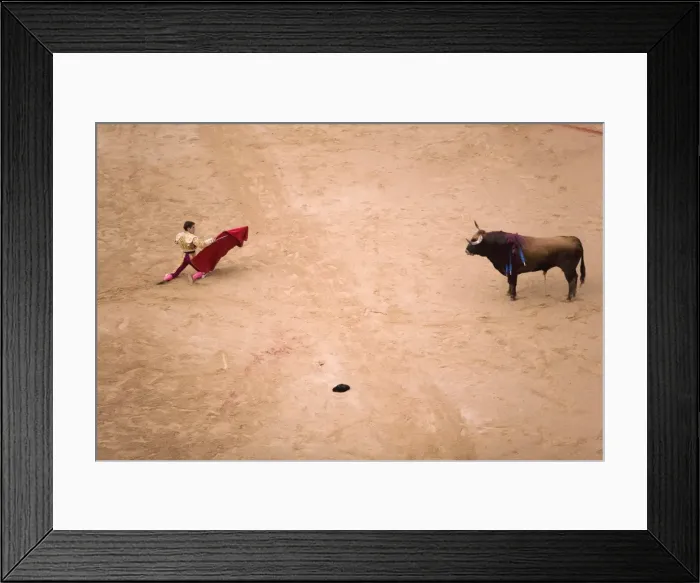 Framed Print : Bullfight in Plaza de Toros during San Fermin festival, Pamplona, Navarra Framed Print : Bullfight in Plaza de Toros during San Fermin festival, Pamplona, Navarra