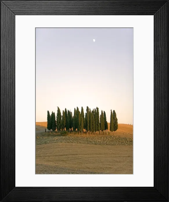Framed Print : Val d Orcia, Tuscany, Italy, Europe Framed Print : Val d Orcia, Tuscany, Italy, Europe