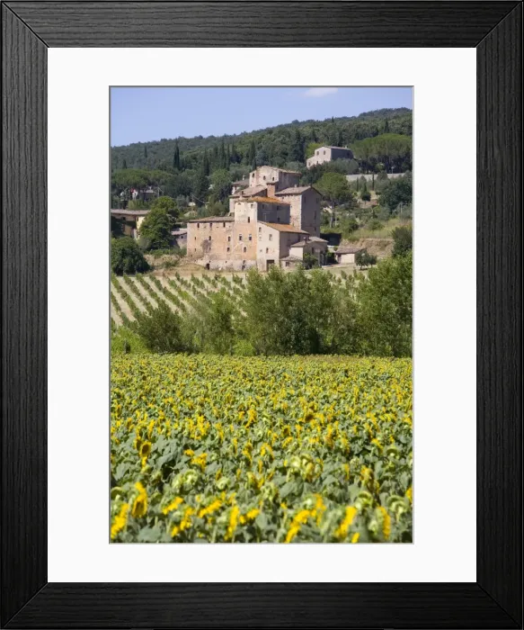 Framed Print : Near Siena, Val d Orcia, Tuscany, Italy, Europe Framed Print : Near Siena, Val d Orcia, Tuscany, Italy, Europe