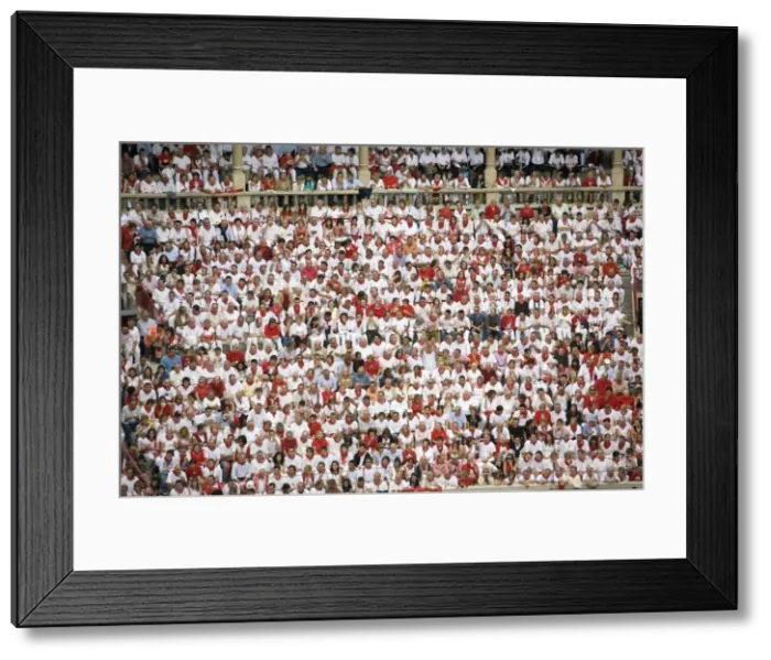 Framed Print : Plaza de Toros, San Fermin festival, Pamplona, Navarra, Spain, Europe Framed Print : Plaza de Toros, San Fermin festival, Pamplona, Navarra, Spain, Europe