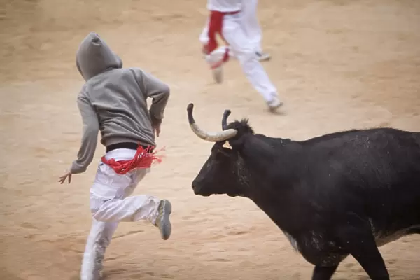 Bull fighting, San Fermin festival, Plaza de Toros, Pamplona, Navarra, Spain, Europe