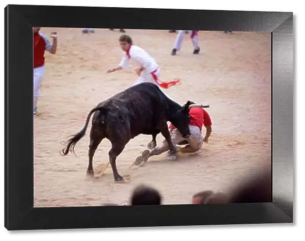 Bull fighting, San Fermin festival, Plaza de Toros, Pamplona, Navarra, Spain, Europe