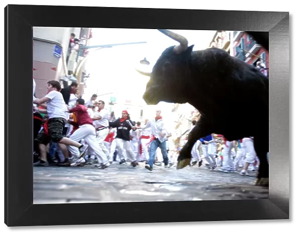 Running of the bulls (Encierro), San Fermin festival, Pamplona, Navarra, Spain, Europe