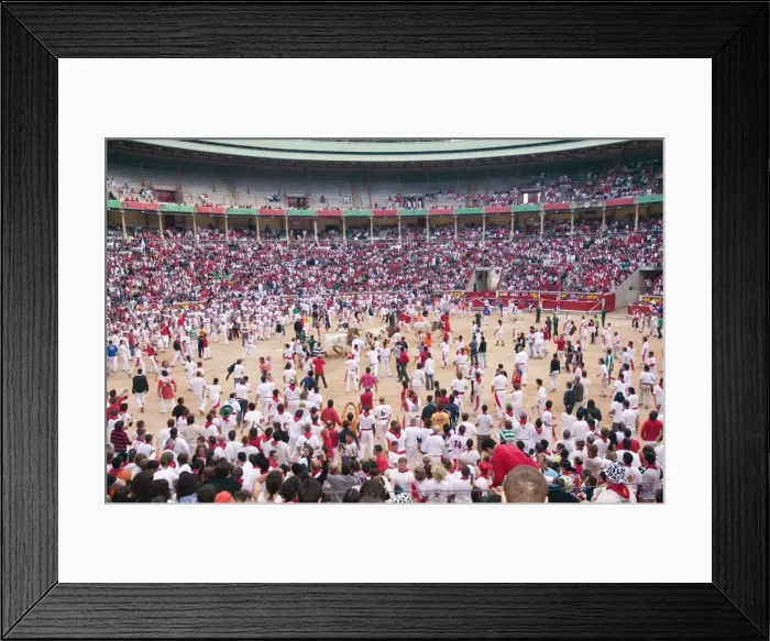 Framed Print : San Fermin festival, Plaza de Toros, Pamplona, Navarra, Spain, Europe Framed Print : San Fermin festival, Plaza de Toros, Pamplona, Navarra, Spain, Europe