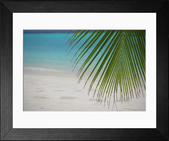 Framed Print : Palm tree leaf and tropical beach, Maldives, Indian Ocean, Asia Framed Print : Palm tree leaf and tropical beach, Maldives, Indian Ocean, Asia