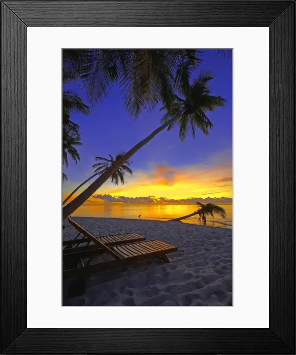 Framed Print : Deckchair on tropical beach by palm tree at dusk and blue heron, Maldives Framed Print : Deckchair on tropical beach by palm tree at dusk and blue heron, Maldives