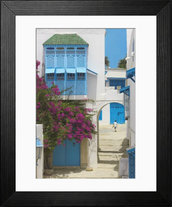 Framed Print : Sidi Bou Said, Tunisia, North Africa, Africa Framed Print : Sidi Bou Said, Tunisia, North Africa, Africa