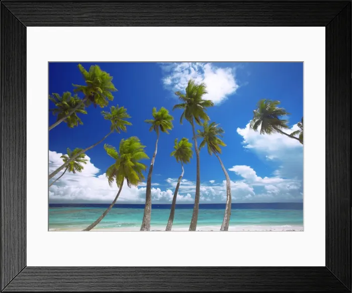 Framed Print : Empty beach and palm trees, Maldives, Indian Ocean, Asia Framed Print : Empty beach and palm trees, Maldives, Indian Ocean, Asia