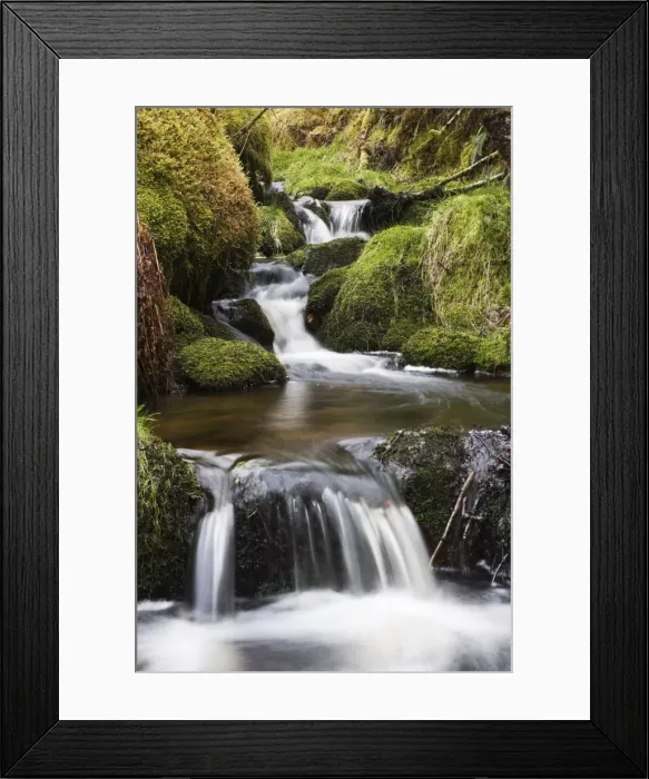 Framed Print : Stream in oak wood, Ariundle Woods National Nature Reserve, Strontian, Argyll Framed Print : Stream in oak wood, Ariundle Woods National Nature Reserve, Strontian, Argyll