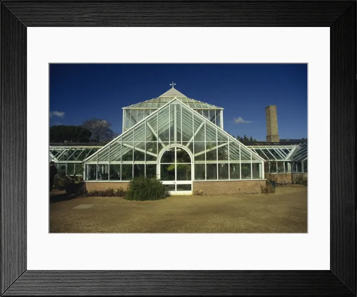 Framed Print : Greenhouse, University Botanical Gardens, Cambridge, Cambridgeshire, England Framed Print : Greenhouse, University Botanical Gardens, Cambridge, Cambridgeshire, England