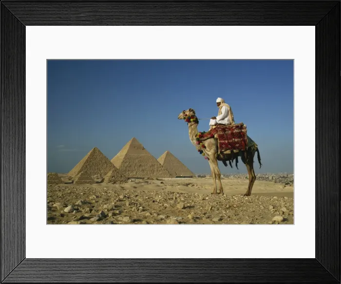 Framed Print : Camel and rider near the Pyramids, UNESCO World Heritage Site, Giza, Cairo Framed Print : Camel and rider near the Pyramids, UNESCO World Heritage Site, Giza, Cairo