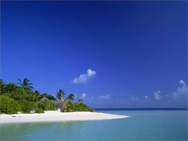 A tropical beach with palm trees and thatched huts in the Maldive Islands