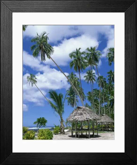 Framed Print : Palm trees and thatched shelters on the beach at Lefaga, Western Samoa Framed Print : Palm trees and thatched shelters on the beach at Lefaga, Western Samoa