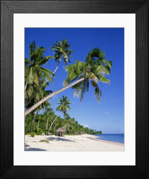 Framed Print : Palm trees and tropical beach at Lalamanu, near Vavau, Western Samoa, Pacific Islands Framed Print : Palm trees and tropical beach at Lalamanu, near Vavau, Western Samoa, Pacific Islands