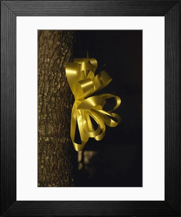 Framed Print : Yellow ribbon, Dallas, Texas, United States of America, North America