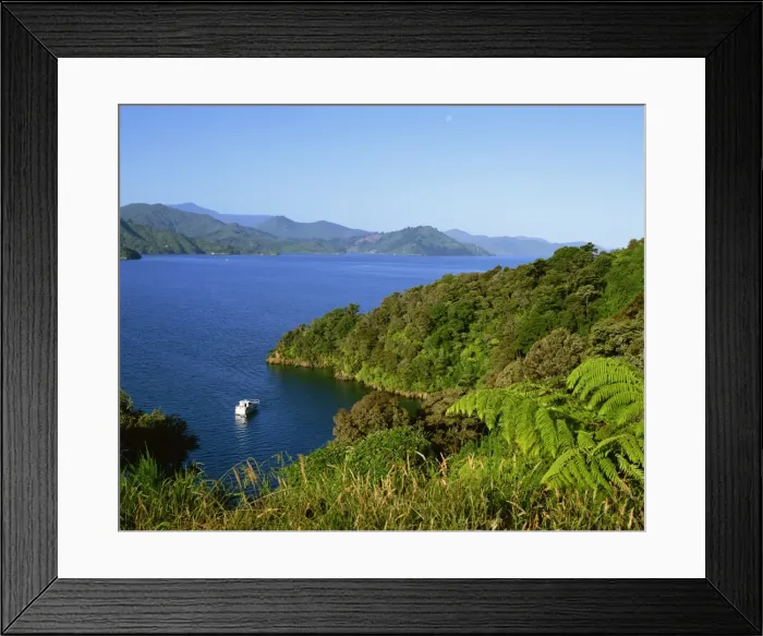 Framed Print : Landscape of Queen Charlotte Sound near Picton, Marlborough, South Island Framed Print : Landscape of Queen Charlotte Sound near Picton, Marlborough, South Island