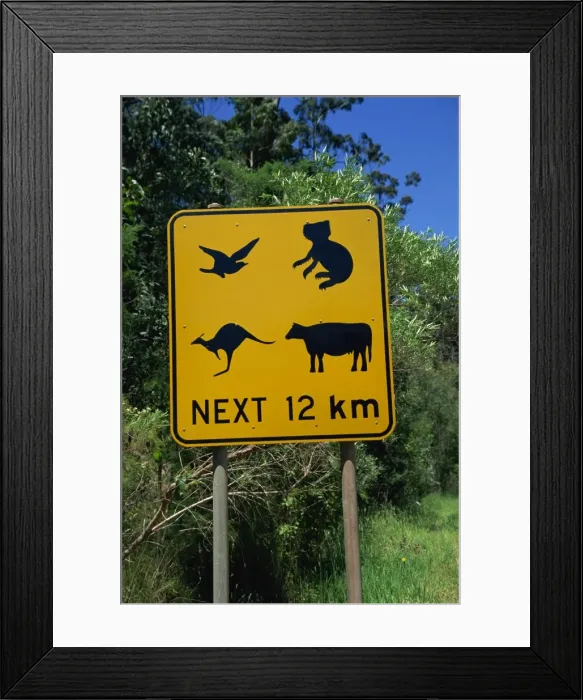 Framed Print : Typical traffic sign, Australia, Pacific Framed Print : Typical traffic sign, Australia, Pacific