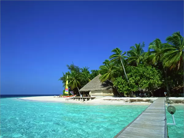 A tropical beach with palm trees in the Maldive Islands, Indian Ocean, Asia