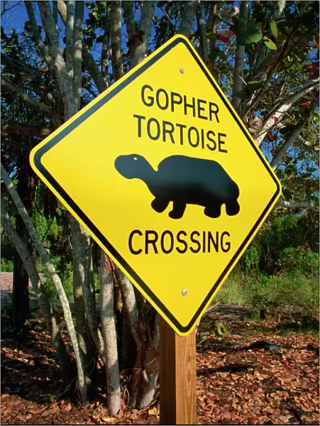 Road warning sign, J. N. Ding Darling Wildlife Refuge, Sanibel Island, Florida