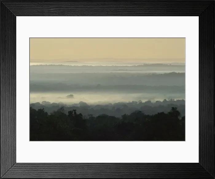Framed Print : Dawn over rain forest of Biosphere Reserve, Peten, Guatemala, Central America Framed Print : Dawn over rain forest of Biosphere Reserve, Peten, Guatemala, Central America