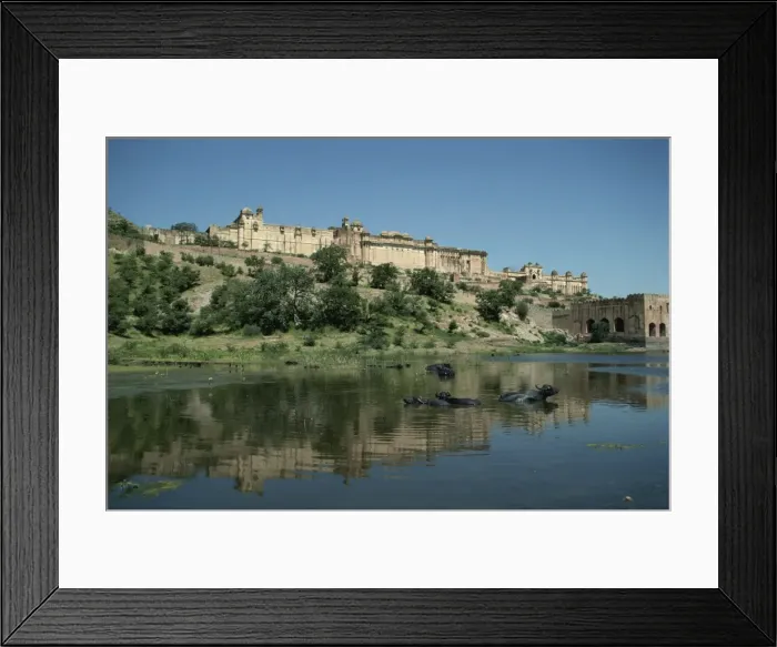 Framed Print : Amber Palace, near Jaipur, Rajasthan state, India, Asia Framed Print : Amber Palace, near Jaipur, Rajasthan state, India, Asia