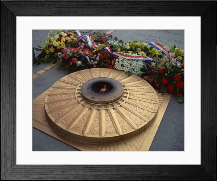 Framed Print : Tomb of the Unknown Soldier, Arc de Triomphe, Paris, France, Europe Framed Print : Tomb of the Unknown Soldier, Arc de Triomphe, Paris, France, Europe