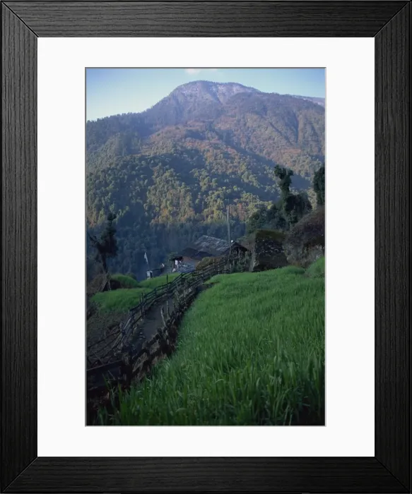 Framed Print : Tibetan village of Bakhim, Himalas, Sikkim, India, Asia Framed Print : Tibetan village of Bakhim, Himalas, Sikkim, India, Asia