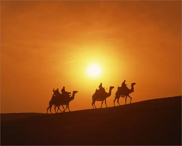 Riders silhouetted on camels at sunset, Giza, Cairo, Egypt, North Africa, Africa